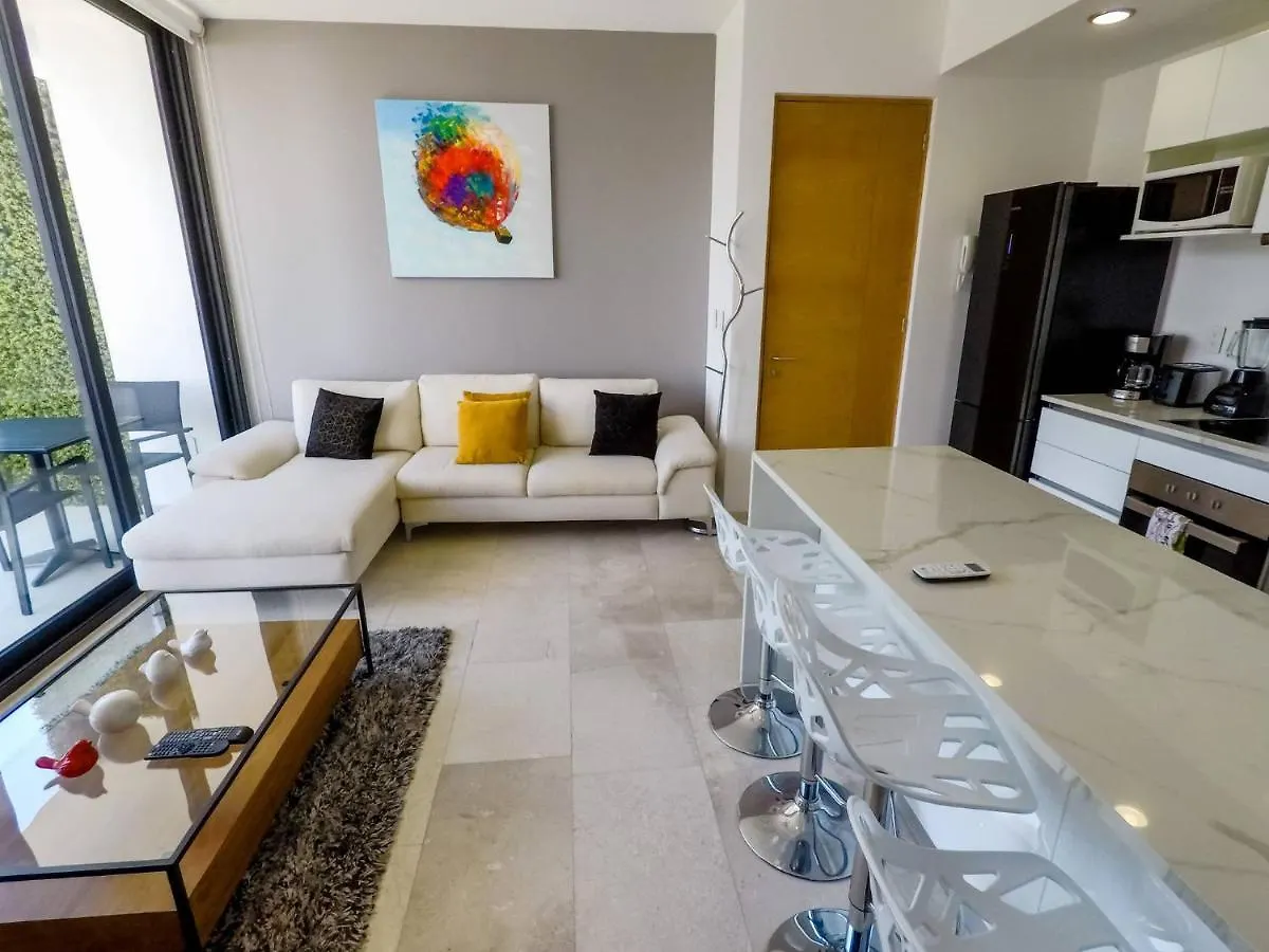 Lovely 1 Bedroom Apartment, 3 Blocks To Mamitas, Roof Pool Views, Bbq Playa del Carmen Apartment